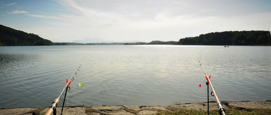 Wallersee